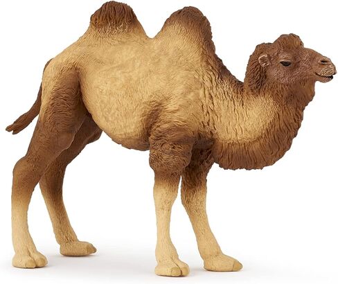 Papo - Realistic Bactrian Camel Figure Toy for Kids - Ages 3+ - Wild Life Collection - Educational Play Exotic Animals - Gift Idea Toy for Girls and Boys - 4.6 In in Kuwait