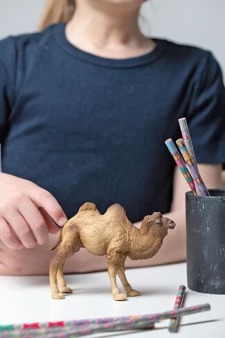 Papo - Realistic Bactrian Camel Figure Toy for Kids - Ages 3+ - Wild Life Collection - Educational Play Exotic Animals - Gift Idea Toy for Girls and Boys - 4.6 In in Kuwait