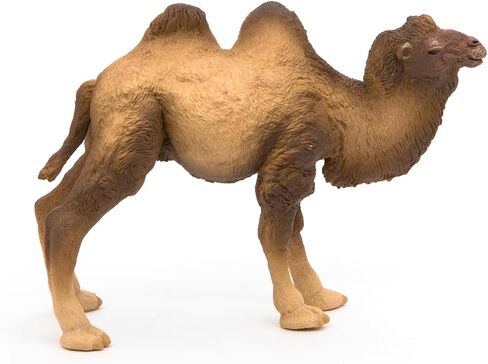 Papo - Realistic Bactrian Camel Figure Toy for Kids - Ages 3+ - Wild Life Collection - Educational Play Exotic Animals - Gift Idea Toy for Girls and Boys - 4.6 In in Kuwait