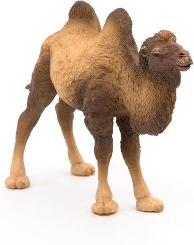 Papo - Realistic Bactrian Camel Figure Toy for Kids - Ages 3+ - Wild Life Collection - Educational Play Exotic Animals - Gift Idea Toy for Girls and Boys - 4.6 In in Kuwait