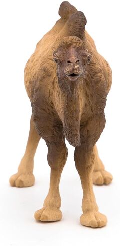 Papo - Realistic Bactrian Camel Figure Toy for Kids - Ages 3+ - Wild Life Collection - Educational Play Exotic Animals - Gift Idea Toy for Girls and Boys - 4.6 In in Kuwait