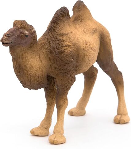 Papo - Realistic Bactrian Camel Figure Toy for Kids - Ages 3+ - Wild Life Collection - Educational Play Exotic Animals - Gift Idea Toy for Girls and Boys - 4.6 In in Kuwait