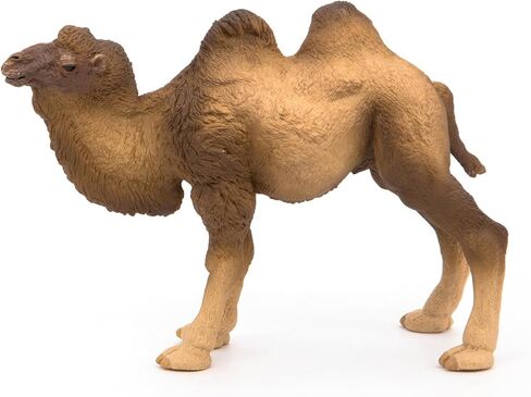 Papo - Realistic Bactrian Camel Figure Toy for Kids - Ages 3+ - Wild Life Collection - Educational Play Exotic Animals - Gift Idea Toy for Girls and Boys - 4.6 In in Kuwait