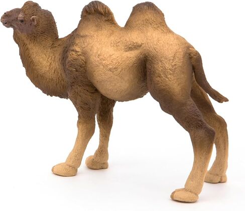 Papo - Realistic Bactrian Camel Figure Toy for Kids - Ages 3+ - Wild Life Collection - Educational Play Exotic Animals - Gift Idea Toy for Girls and Boys - 4.6 In in Kuwait