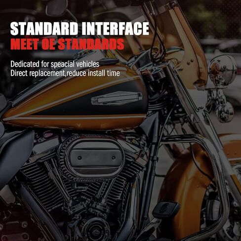 مجموعة مضخة الوقود متوافقة مع 2005 Harley-Davidson FLHRSI Road King مخصصة فقط لطراز 05 مع حزام أسود على اللوحة العلوية، استبدل OE# 75227-04A in Kuwait