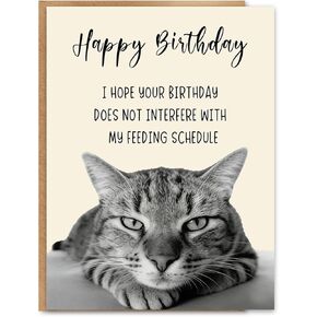 Funny Cat Birthday Card, Cat Lover Birthday Gift, Funny Birthday Card for Men and Women, Printed Inside, with Kraft Envelope and Gold Seal Sticker in Saudi Arabia