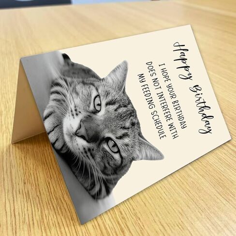 Funny Cat Birthday Card, Cat Lover Birthday Gift, Funny Birthday Card for Men and Women, Printed Inside, with Kraft Envelope and Gold Seal Sticker in Saudi Arabia