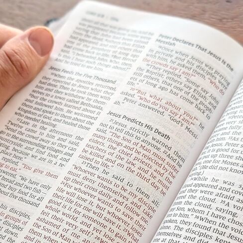 الكتاب المقدس بالحجم الشخصي NIV - طباعة كبيرة من الجلد الأسود الناعم | اسم مخصص محفور | إصدار طباعة مريحة بأحرف حمراء مع علامات شريطية وتصميم محمول (Black Rose Blessed is She) in Kuwait