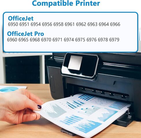 902 XL Black Ink Cartridges Combo Pack Replacement for HP 902XL HP902 Work for OfficeJet 6950 6954 6951 6956 6961 6963 6964 6978 6968 6958 6970 6960 6975 6962 Printer with V22.1.1 Chip ( 2-Pack Black) in Saudi Arabia
