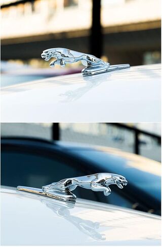 3D Silver Fit Jaguar Emblem Logo Front Vehicle Hood Ornament Cover Chrome Badge Car for Jaguar XF XJ XE XK XKR XFL XJS E Accessories (Silver-zhantie) in Saudi Arabia