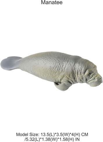 Hollow Manatee Figurine – Realistic Gentle Sea Animal Figurines for Kids, Educational Ocean Life Model, Cake Topper & Marine Display in Saudi Arabia
