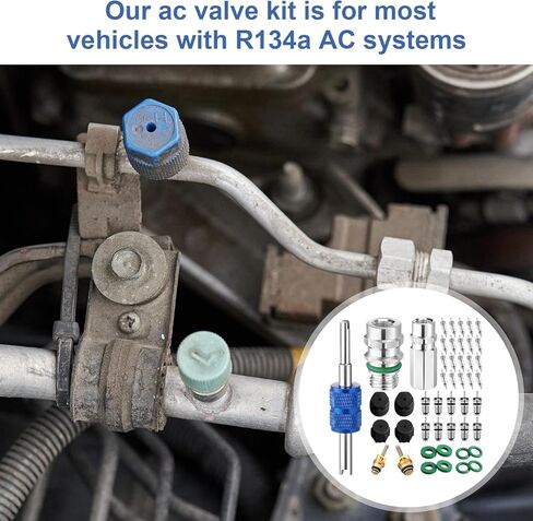 Zonon 47 Pcs Air Conditioning Valve Core Kit R12 R22 to R134a Ac Retrofit Fitting Adapter Kit, High/Low Fitting Port Retrofit 1/4'' to 7/16"-20 Unf Conversion Adapter(Black,Style 1) in Saudi Arabia