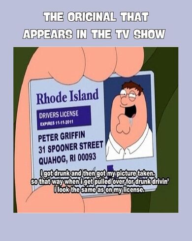 Peter Griffin Driver License ID/Funny Plastic License/Family Guy Fans Complement for Costumes/Double Sided | Collectible Trading Card Driver’s License | Novelty Gift for Holidays in Saudi Arabia