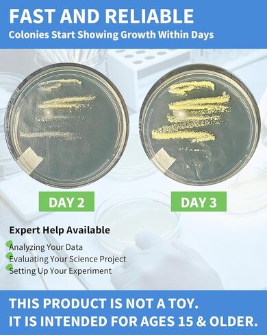 Bacteria Science Kit, Pre-Poured Petri Dishes with Agar and Cotton Swabs for Microbiology Experiment, Nutrient Agar Plates for Bacteria Growing, Science Fair Project Kit, Water Test Kit, User's Manual in Saudi Arabia