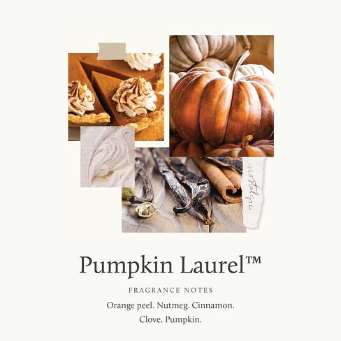 شمعة كبيرة من Thymes Pumpkin Laurel - شمعة معطرة بمكونات جوزة الطيب والقرفة والقرنفل واليقطين وقشر البرتقال - عطر منزلي فاخر - شمعة على شكل قرع برتقالي محروق (15 أونصة) in Kuwait