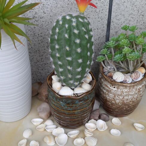 Small Seashell for Craft, Natural White Clam Sea Shells, DIY Assortment, Tiny Shell, Ocean-Themed Decorations, Fish Tank Plant Gravel, Party Wedding Home Decor Vase Filler, 200pcs in Saudi Arabia