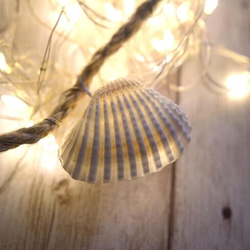 Small Seashell for Craft, Natural White Clam Sea Shells, DIY Assortment, Tiny Shell, Ocean-Themed Decorations, Fish Tank Plant Gravel, Party Wedding Home Decor Vase Filler, 200pcs in Saudi Arabia
