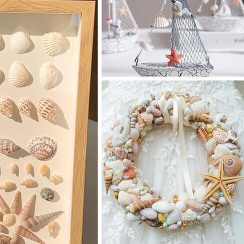 Small Seashell for Craft, Natural White Clam Sea Shells, DIY Assortment, Tiny Shell, Ocean-Themed Decorations, Fish Tank Plant Gravel, Party Wedding Home Decor Vase Filler, 200pcs in Saudi Arabia