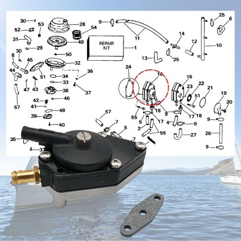 قارب البحرية 438559 مضخة الوقود لجونسون Evinrude 6 8 25 35 50 55 60 65 70 75 85 100 105 115 125 135 140 150 155 175 200 235 HP استبدال المحركات الخارجية 388555 0433390 in Kuwait