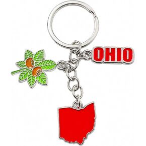 Westmon Works Ohio Souvenir Keychain – Metal Key Ring with State Charm, Buckeye Leaf Accent, Travel Keepsake Gift for Men Women in Kuwait
