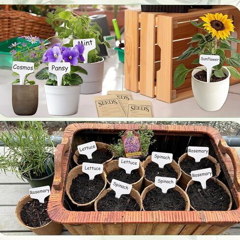 57 Slots Seed Storage Organizer Box with 0.6oz 1.5oz Garden Seed Containers, 20 Envelopes, Label Stickers, Plant Label, Zipper Closure Seed Holder Organizer Kit for Vegetable/Flower/Plants Seed Saving in Saudi Arabia