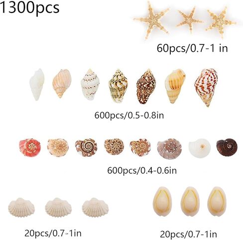 1300 PCS Small Seashells for Crafts, Tiny Mixed Sea Shells with Starfish, Natural Beach Seashells 0.4–1 Inch for DIY, Vase Filler, Aquarium, Wedding & Home Decor in Saudi Arabia