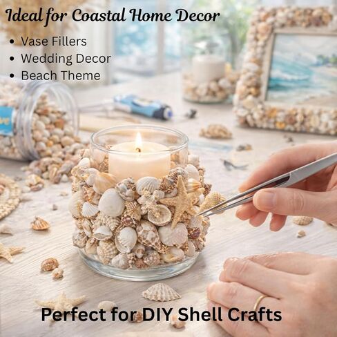 1300 PCS Small Seashells for Crafts, Tiny Mixed Sea Shells with Starfish, Natural Beach Seashells 0.4–1 Inch for DIY, Vase Filler, Aquarium, Wedding & Home Decor in Saudi Arabia