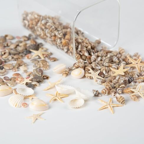 1300 PCS Small Seashells for Crafts, Tiny Mixed Sea Shells with Starfish, Natural Beach Seashells 0.4–1 Inch for DIY, Vase Filler, Aquarium, Wedding & Home Decor in Saudi Arabia