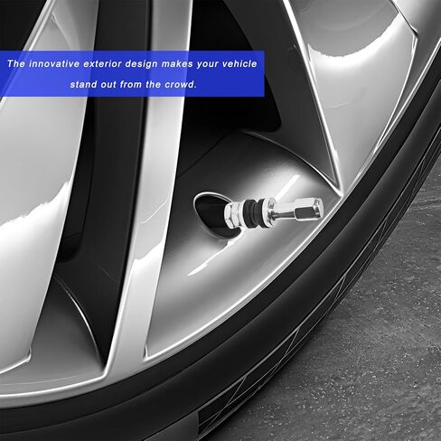 5 PCS VS43/TR43E Tubeless Clamp-in Valve Stems, High-Pressure Outer Mount Aluminum Alloy Car Wheel Valve Stem, Universal Auto Tire Air Stem Replacement for 0.453" Rim Holes (Silver) in Kuwait