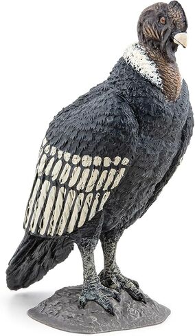 Papo - Realistic Condor Figure - Ages 3+ - Wild Life Collection - Educational Play Birds of Prey - Gift Idea Toy for Girls and Boys in Kuwait