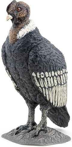 Papo - Realistic Condor Figure - Ages 3+ - Wild Life Collection - Educational Play Birds of Prey - Gift Idea Toy for Girls and Boys in Kuwait