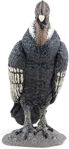 Papo - Realistic Condor Figure - Ages 3+ - Wild Life Collection - Educational Play Birds of Prey - Gift Idea Toy for Girls and Boys in Kuwait