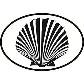 DG Graphics Magnet Sea Shell Euro Oval Magnet Car Auto Fridge Locker Metal 5" in Kuwait