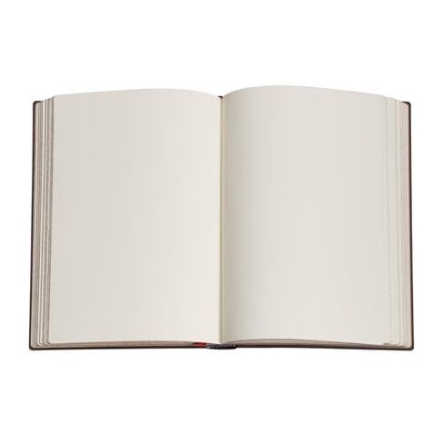 فيرن، مجلة صغيرة غير مُبطنة حول العالم، 176 صفحة، 85 جم لكل متر مربع من Paperblanks (مجموعة المخطوطات المزخرفة) in Kuwait