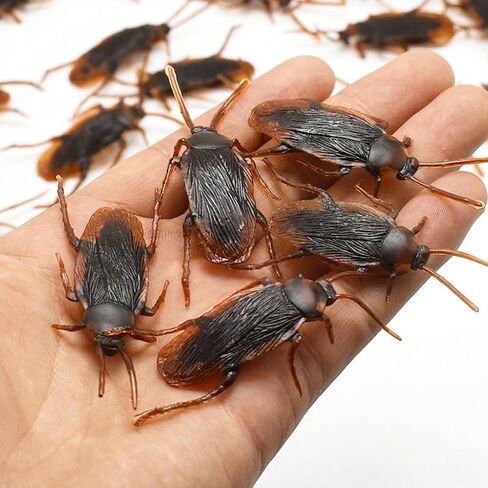 Fake Roaches,Realistic Fake Cockroaches, Pranks for Adults Funny Scary Bug Gag Gifts，2.6" Lifelike Fake Cockroach Creepy Insects Props for Halloween, April Fools Day,Birthday Pranks(15PCS) in Saudi Arabia