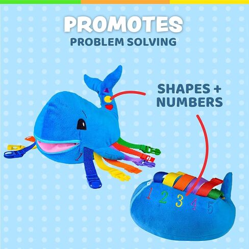 ألعاب مشبك - مجموعة Blu Whale وBlizzard Penguin Ocean Buddies in Kuwait