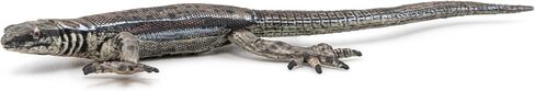 Papo - Realistic Common Lizard Figure - Ages 3+ - Nature & Reptiles Collection - Educational Play Garden Reptiles - Gift Idea Toy for Girls and Boys - 4.4 in X 1.8 in X 0.5 in in Kuwait