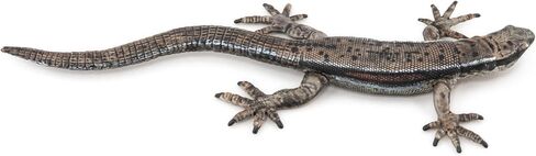 Papo - Realistic Common Lizard Figure - Ages 3+ - Nature & Reptiles Collection - Educational Play Garden Reptiles - Gift Idea Toy for Girls and Boys - 4.4 in X 1.8 in X 0.5 in in Kuwait