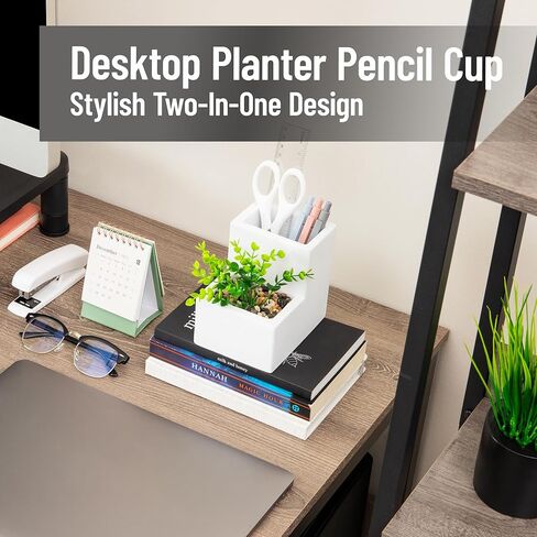 Mind Reader Ceramic Desktop Planter Pencil Cup, Desk Organizer with Faux Succulent, White in Kuwait