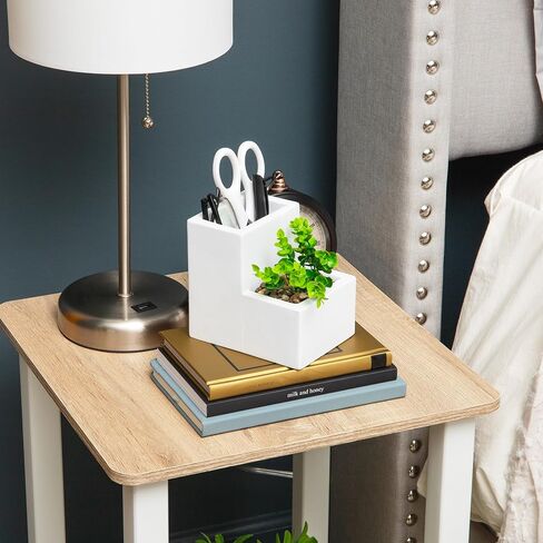 Mind Reader Ceramic Desktop Planter Pencil Cup, Desk Organizer with Faux Succulent, White in Kuwait