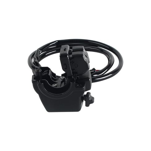 Plug & Play Cruise Control Kit for Harley Softail 2016-2024, for Breakout, Fat Boy, Low Rider S ST, Standard, Street Bob, Replaces HD#41000369 in Kuwait