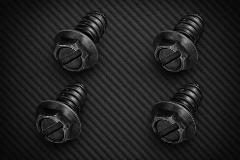 License Plate Screws, Carbon Steel, Slotted Hexagon Head with Rustproof Finish, 4 Pack in Kuwait