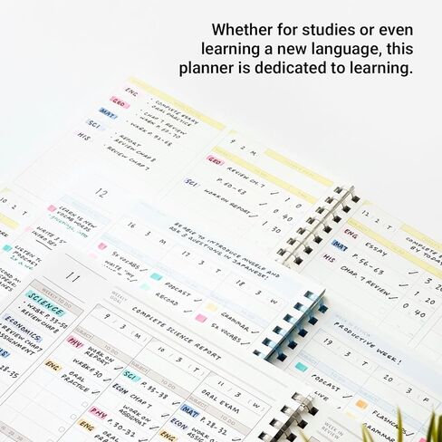 دفتر مخطط الدراسة KOKUYO، سجل زمني B5 مقاس 10 بوصة × 7 بوصة، دفاتر ملاحظات ذات حلقة ناعمة، 41 ورقة تخطيط للقيام بها، دفتر ملاحظات حلزوني أخضر، إدارة الوقت (SU-SY111TL-G) in Kuwait