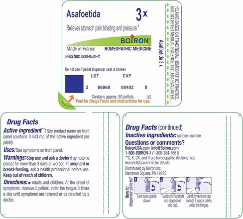 Boiron Asafoetida 3X, Tube of 80 Pellets in Saudi Arabia