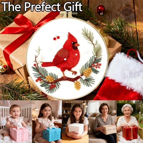 طقم تطريز Zhenqing Red Bird in Winter للمبتدئين، قماش قطني مطبوع مسبقًا مقاس 29x29 سم مع طوق 20 سم، يتميز بمخاريط الصنوبر والتوت وتصميم الثلج (C0213) in Kuwait