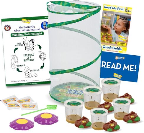 Insect Lore Easy 25 Butterfly Garden Pavilion Growing Kit - 25 Baby Caterpillars, Pavilion Habitat, Chrys-a-lids, Food & Supplies - Raise and Release Painted Lady Butterflies in Kuwait