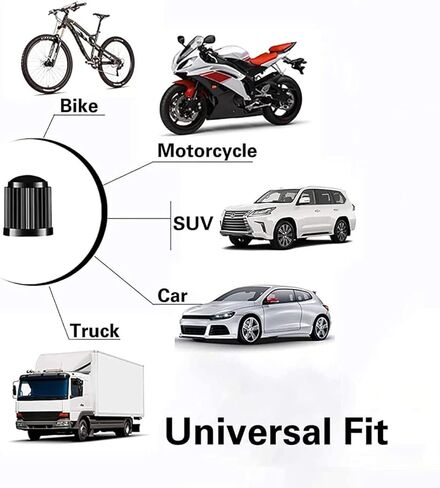 Universal Tire Valve Dust Caps, 0.39 x 0.5 inch, 10-Pack, Black in Saudi Arabia