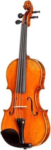 D Z Strad 4/4 Full Size Violin Model 250 with Case, 2 Bows, Shoulder Rest, and Rosin in Saudi Arabia