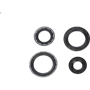 GM Genuine Parts 15-34514 Air Conditioning Thermal Expansion Valve Seal Kit with Tube Seals and Valve Seals