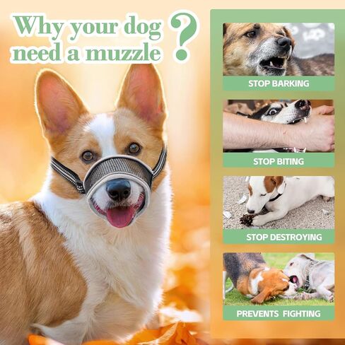 كمامة للكلاب، كمامة شبكية ناعمة قابلة للتنفس، كمامة شبكية هوائية للكلاب مع حزام عاكس وقابل للتعديل من أجل العض والمضغ، تسمح بالشرب، كمامة للكلاب الصغيرة (S، أسود) in Kuwait